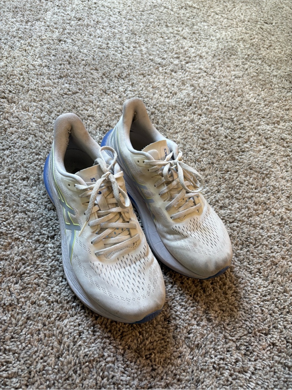 ASICS GT 2000 12